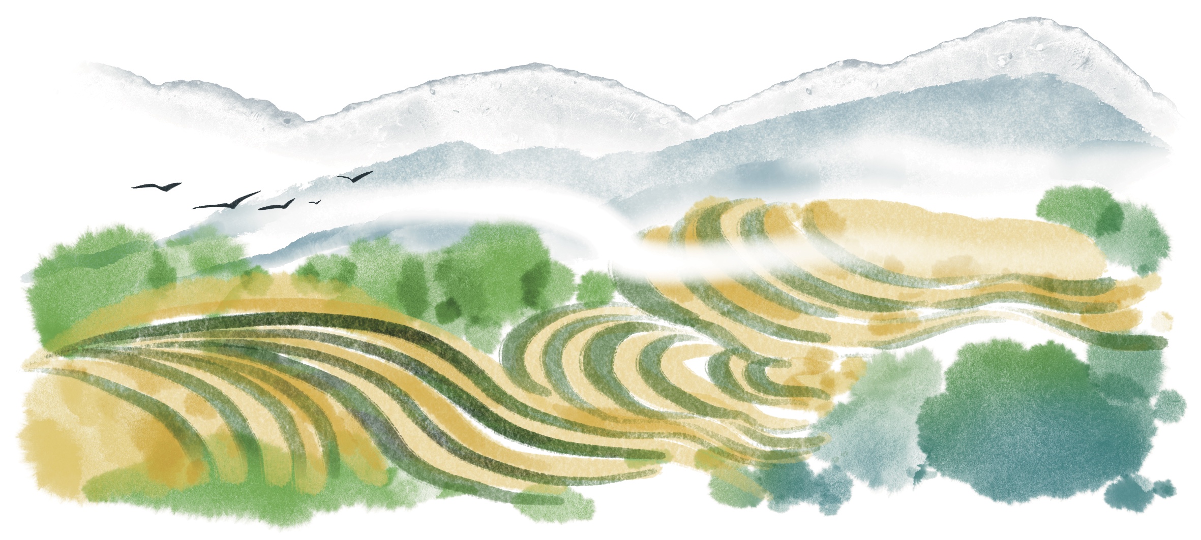 龙脊梯田(2335512)-20230404080839.jpg