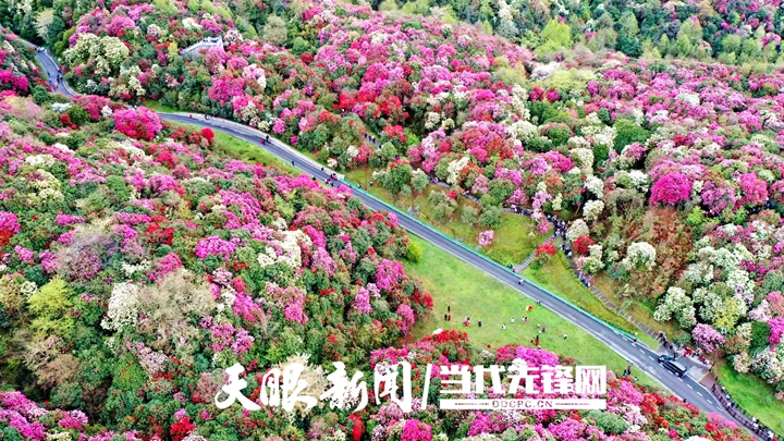 微信图片_20230628184543.jpg