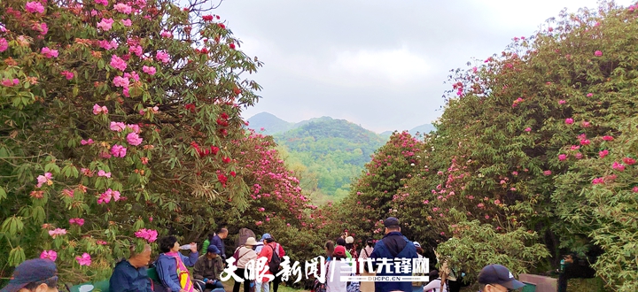 微信图片_20230628184615.jpg